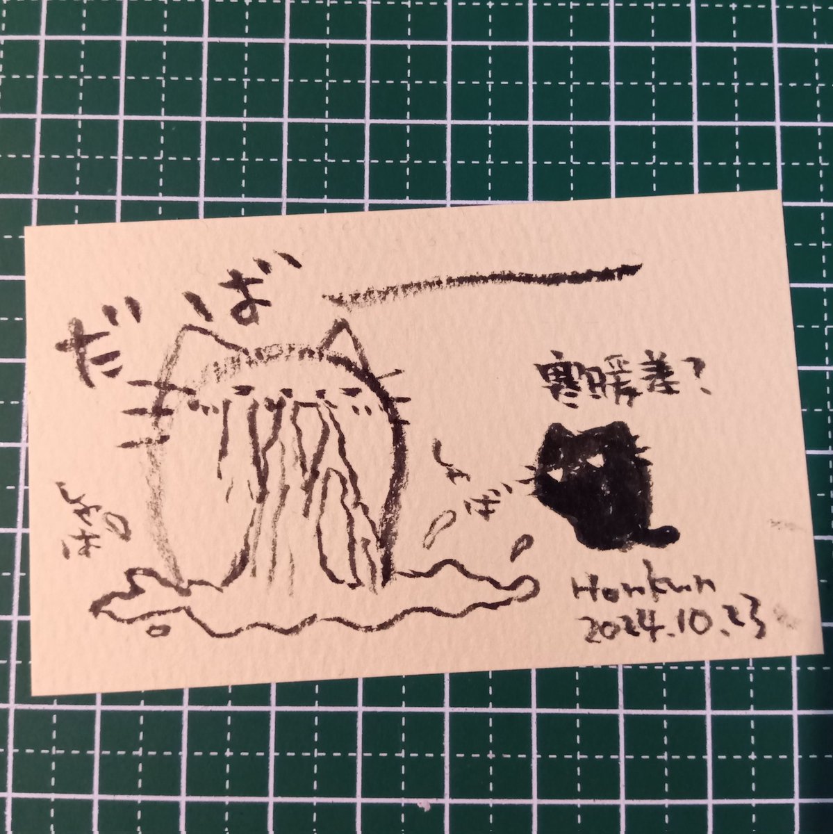 2024-10-23