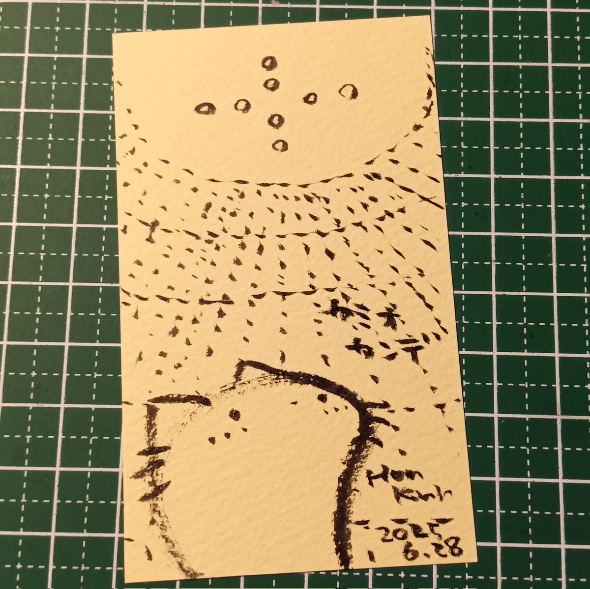2025-06-28
